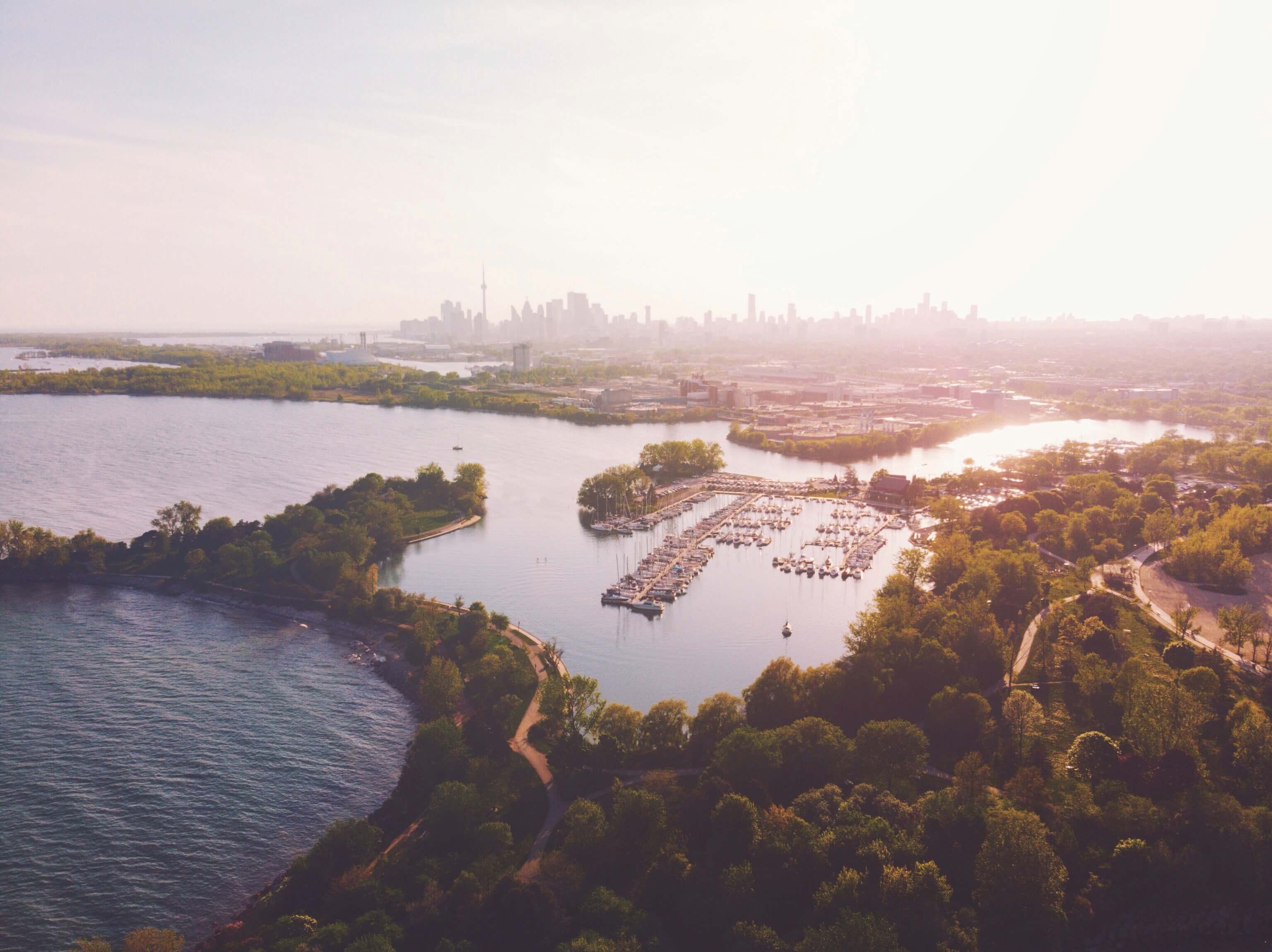 View of Toronto with a lake and green spaces in the foreground by Daniel Novykov